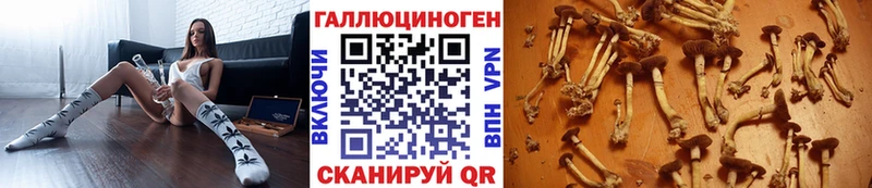 Купить  Малмыж  Галлюциногенные грибы Magic Shrooms 